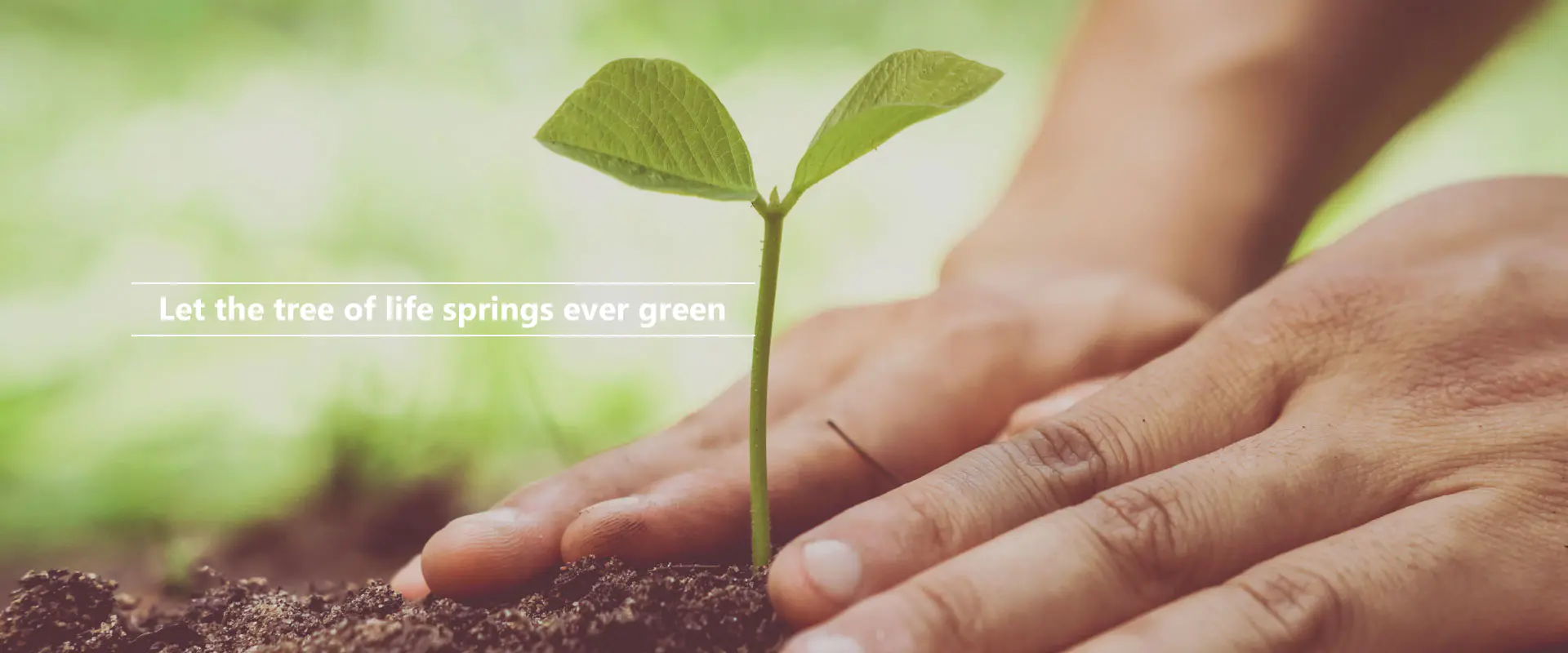 La livets tre kilder alltid grønne